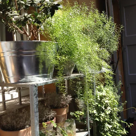 Mars41 3* بولونيا